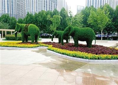 立体绿雕成街头新宠:大象1家3口 孔雀开屏(图)