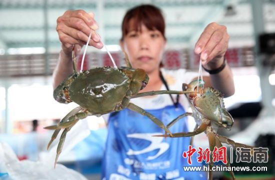 逛特色街区品美食海鲜 海口