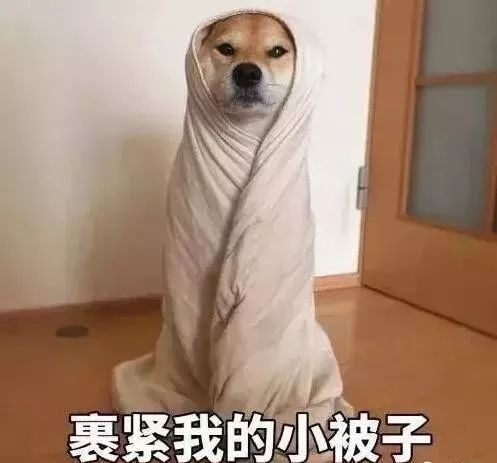 魔法攻击+物理攻击,南方人:这个冬天还有完没