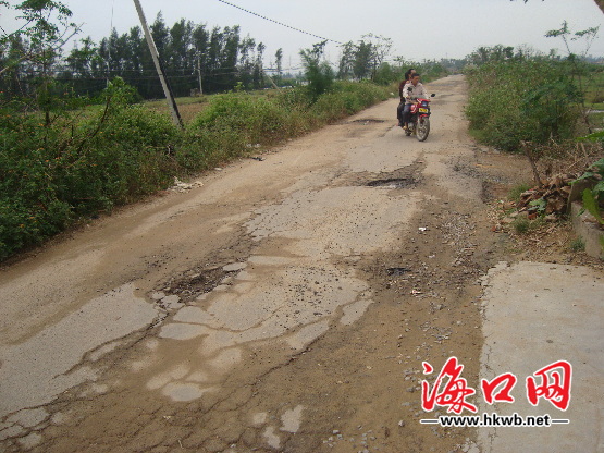 坑坑洼洼的东营村道路.
