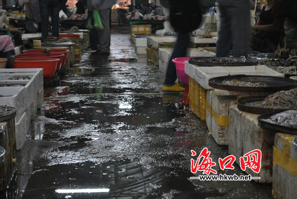 海口板桥路海鲜市场_海南海鲜餐_海南海口海鲜市场(4)