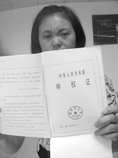 儋州一公司涉嫌非法吸储2362万 “合作造林”坑464人_海南新闻_新闻中心_海口网