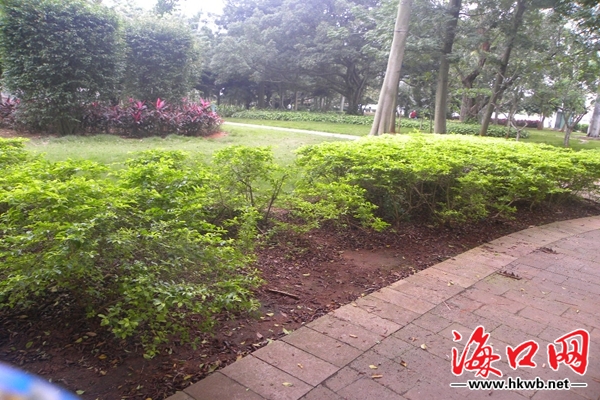 钟楼垃圾有碍观瞻 破坏设施更是不该_原创_聚