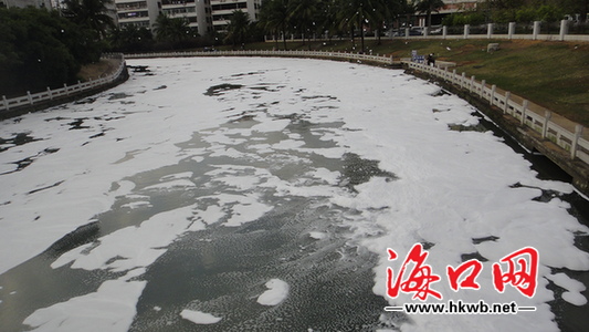 市民观望白色泡沫物3 市民观望白色泡沫物3