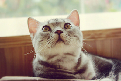 英国脚失利夜约会艳模 欲与<em>姐妹花</em>玩<em>双飞</em>_明星