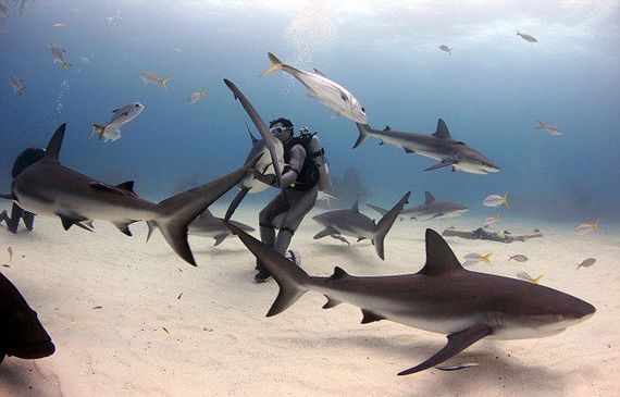 18岁女孩接到22次银行催款电话后跳河身亡_社