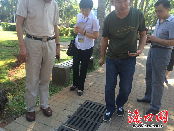 国家创卫专家点赞海口市容环境卫生干净整洁