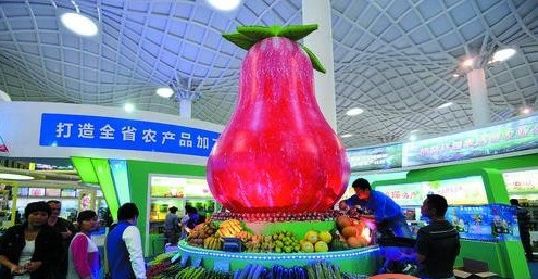 海南冬交会今开幕 提前探营看航天瓜菜淘特色