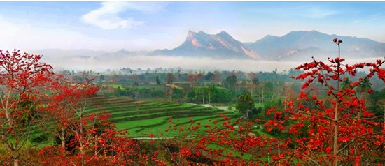 环高铁沿线美景美食搜罗 马马收藏_海南新闻_