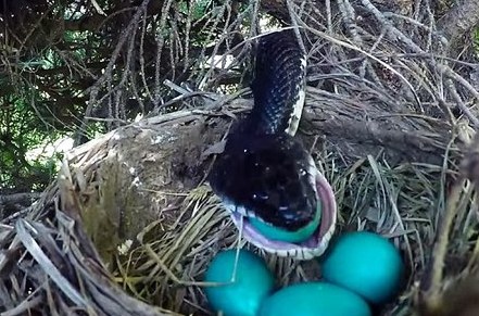 双创提升物业管理服务水平 海口小区环境更美