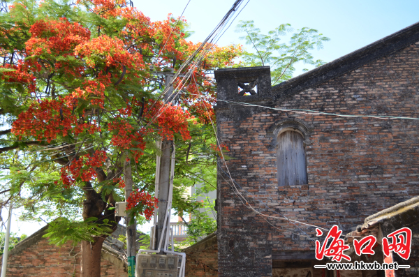 走进乐东佛罗老街 穿越历史长河