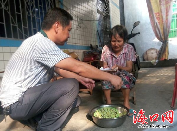 海口桂林洋农业公园_桂林洋高校区vi设计_海口桂林洋海鲜