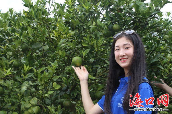 2016年奔格内琼中绿橙旅游季启动_海口网