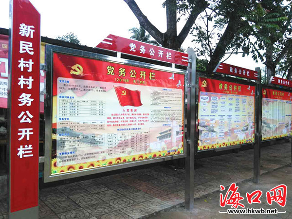 海口龙塘镇11个村(居)委会村务公开整改工作全