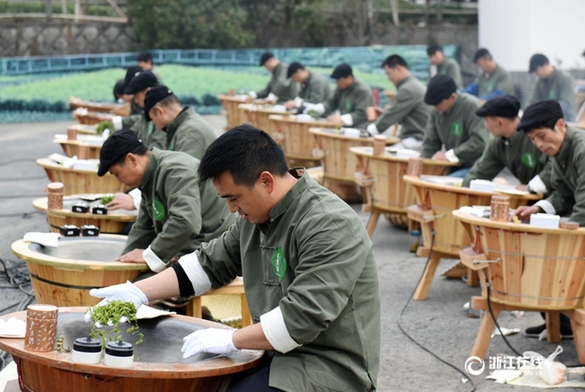 高手对决 杭州举行龙井茶技艺大赛图片频道 - 