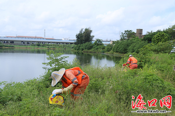 海口秀英区率先完成区镇两级河长制工作目标责