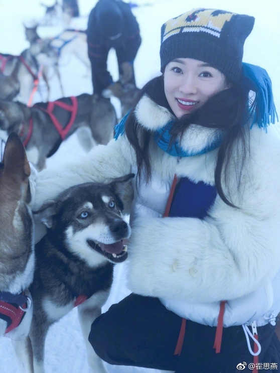 霍思燕杜江抱雪橇犬合照 嗯哼独自坐雪橇表情