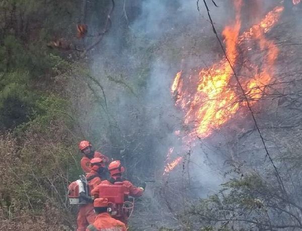 云南大理苍山发生森林火灾 上千人连夜扑救