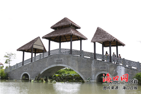 海口江东新区美丽乡村周末迎旅游高潮