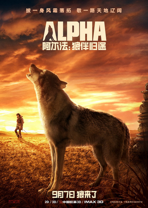 IMAX 3D影片《阿尔法:狼伴归途》发同名预告