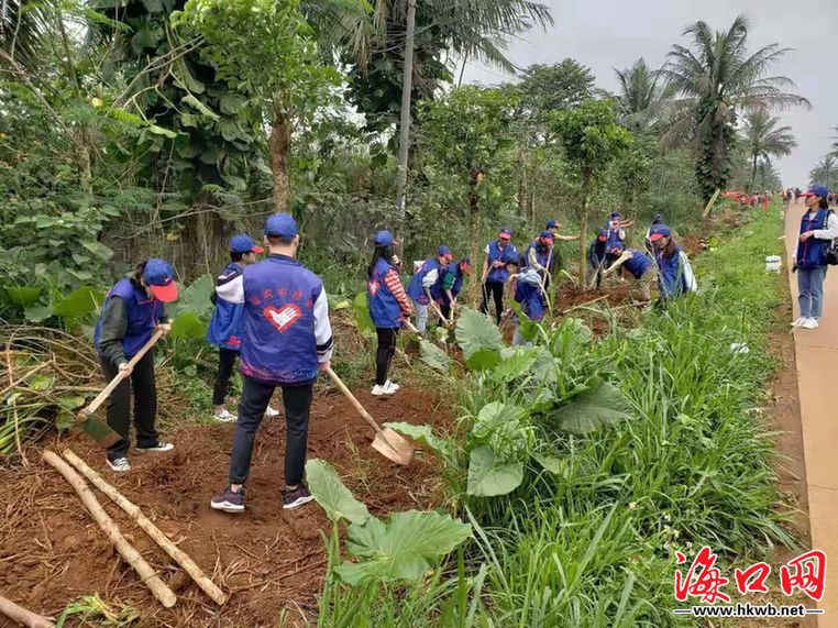 海口开展“3·12”植树节义务植树活动 造林绿化105亩