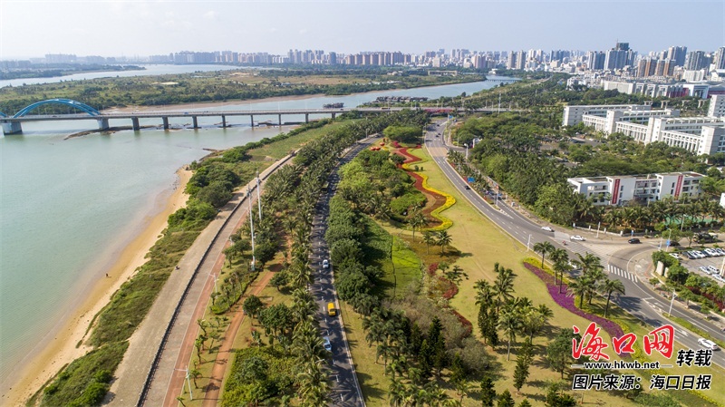 聚焦海口 都市    绿道引领全民健身   南渡江带状公园绿意盎然