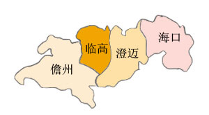 属于汉藏语系侗台语族壮傣语支的一种语言,分布地区包括临高全县,海口