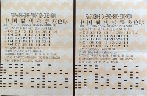 男子20元命中双色球1027万(票)