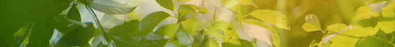 172d39c180025f9076f6124dec4e0282_640_wx_fmt=gif&from=appmsg&tp=webp&wxfrom=5&wx_lazy=1.gif
