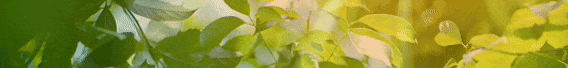 89a40afa023f083e22926e6d9cc05bbe_640_wx_fmt=gif&from=appmsg&tp=webp&wxfrom=5&wx_lazy=1.gif