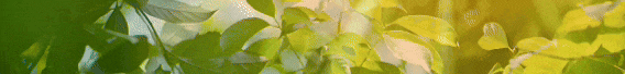 f655a05bb44d14703b371f4f9a742276_640_wx_fmt=gif&from=appmsg&tp=webp&wxfrom=5&wx_lazy=1.gif