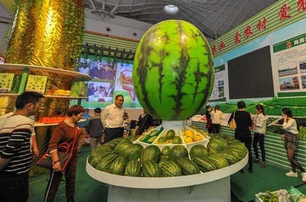 探营海南冬交会现?。虹头茁?瓜果飘香