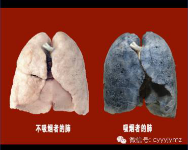 吸烟的危害_ 健康教育知识_中国公民健康素养